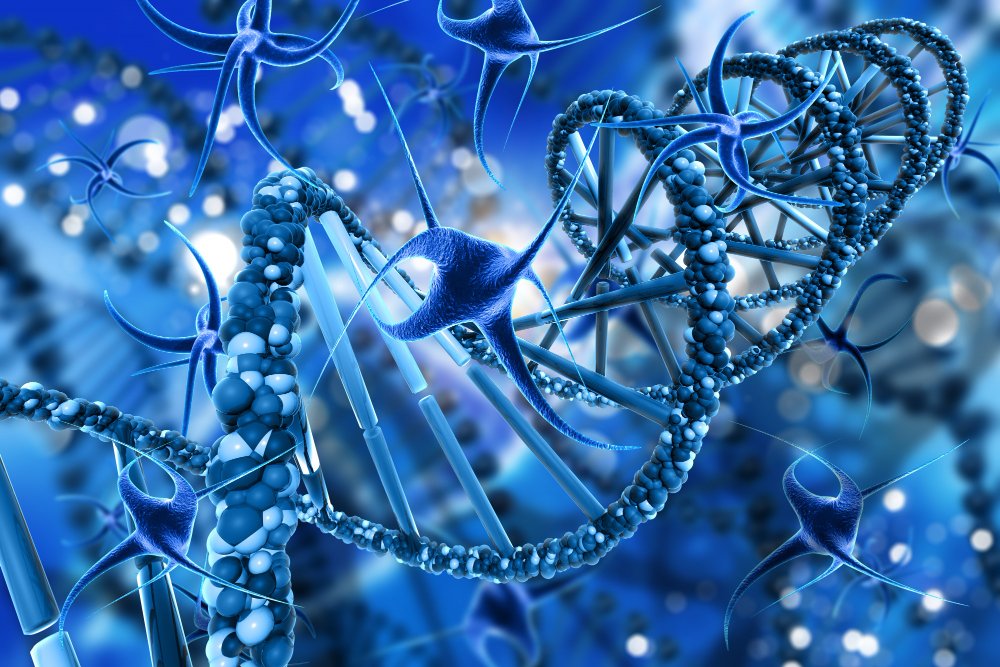 Regenerative Medicine and Cell Therapy: Rebuilding Health from Within