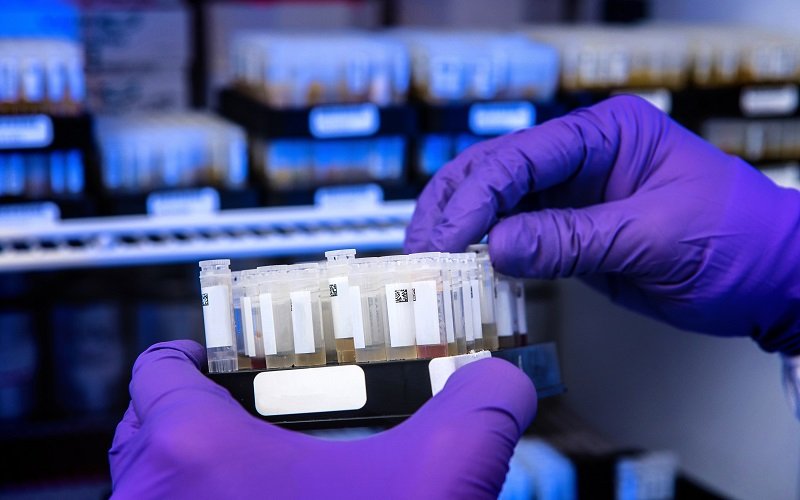 Glyconanoparticle Development: Cutting-Edge Synthesis Techniques and Commercial Applications